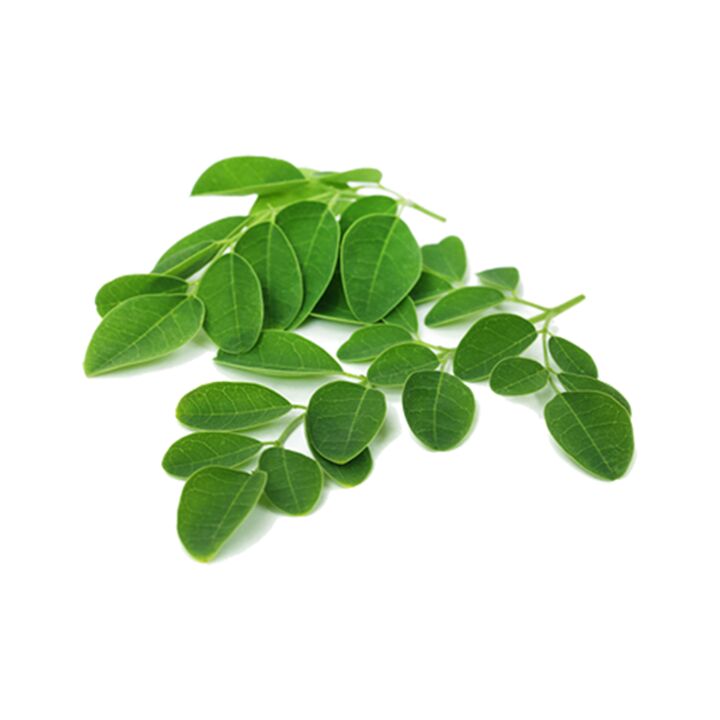 Normadex contient des feuilles de moringa – un puissant remède naturel contre les parasites